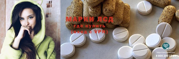 ПСИЛОЦИБИНОВЫЕ ГРИБЫ Арсеньев