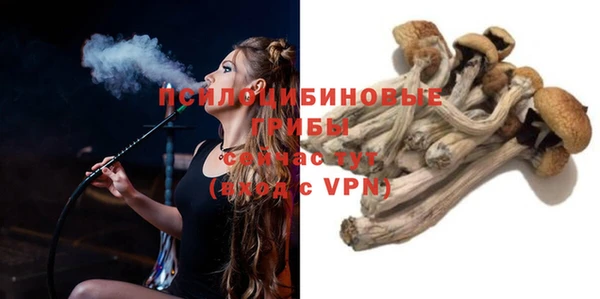 2c-b Армянск