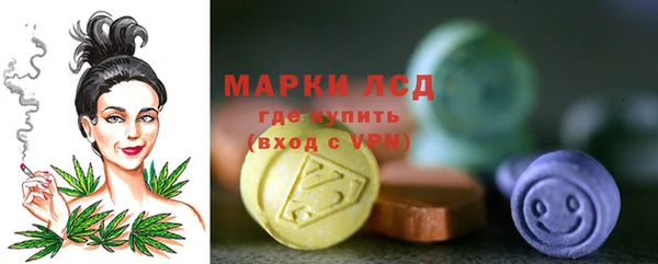 ПСИЛОЦИБИНОВЫЕ ГРИБЫ Арсеньев