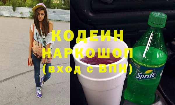 ПСИЛОЦИБИНОВЫЕ ГРИБЫ Арсеньев
