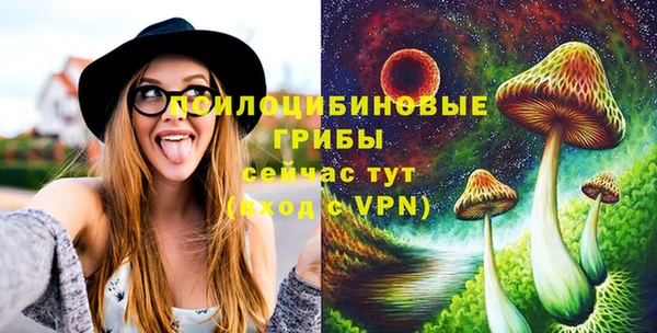 2c-b Армянск