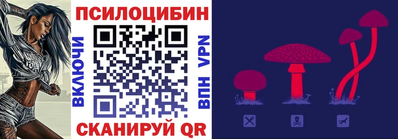 Галлюциногенные грибы прущие грибы  Сретенск 